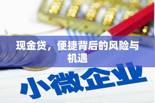卫东现金贷，便捷背后的风险与机遇