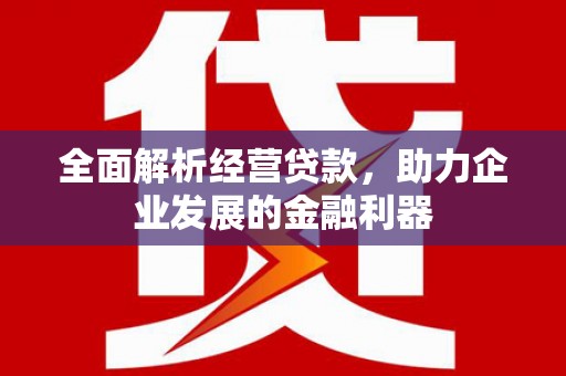 卫东全面解析经营贷款，助力企业发展的金融利器
