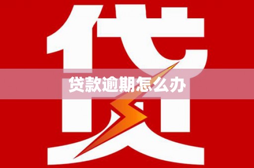 皇姑贷款逾期怎么办