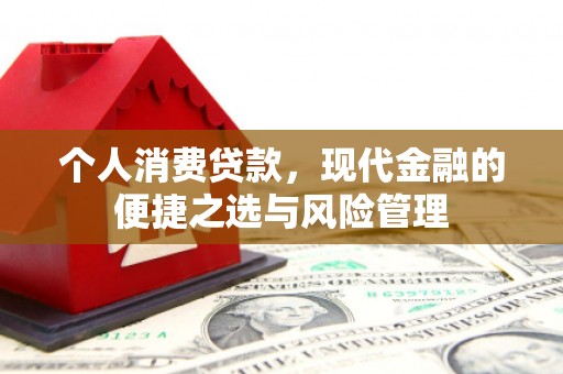 金州个人消费贷款，现代金融的便捷之选与风险管理