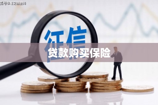 普定贷款购买保险