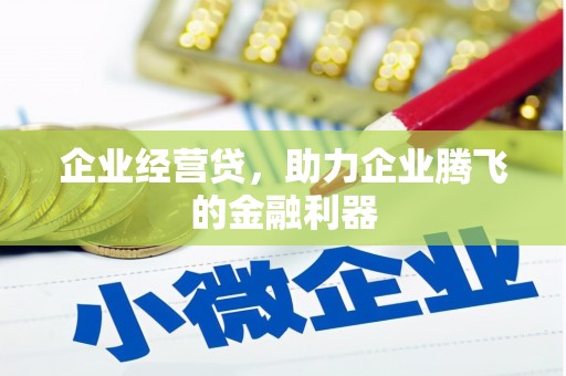 左云企业经营贷，助力企业腾飞的金融利器
