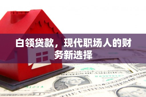 左云白领贷款，现代职场人的财务新选择