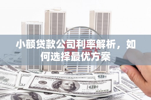 连平小额贷款公司利率解析，如何选择最优方案