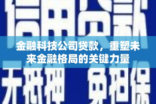 连平金融科技公司贷款，重塑未来金融格局的关键力量