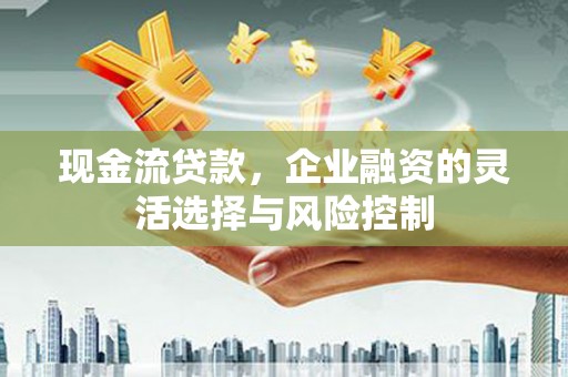 连平现金流贷款，企业融资的灵活选择与风险控制