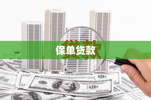 连平保单贷款