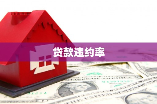 无为贷款违约率