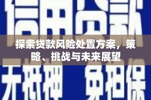福山探索贷款风险处置方案，策略、挑战与未来展望