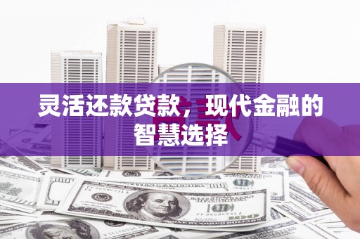 莱城灵活还款贷款，现代金融的智慧选择