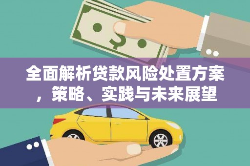神池全面解析贷款风险处置方案，策略、实践与未来展望