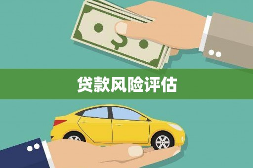 沧县贷款风险评估