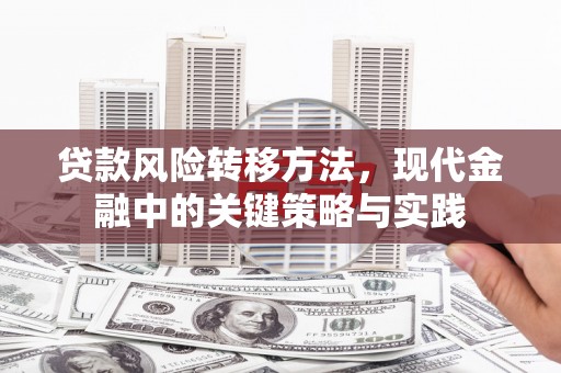 莲花贷款风险转移方法，现代金融中的关键策略与实践