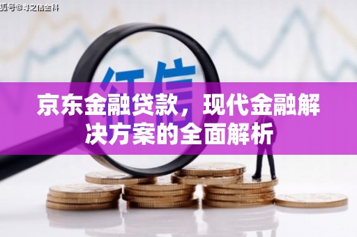 普陀京东金融贷款，现代金融解决方案的全面解析