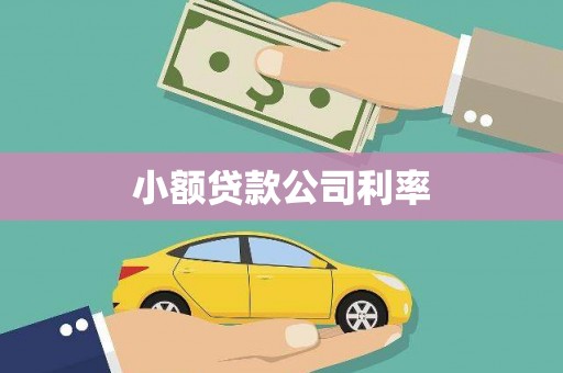 西屯小额贷款公司利率