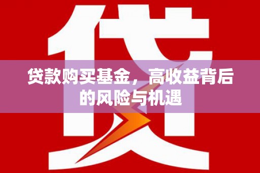 新宁贷款购买基金，高收益背后的风险与机遇