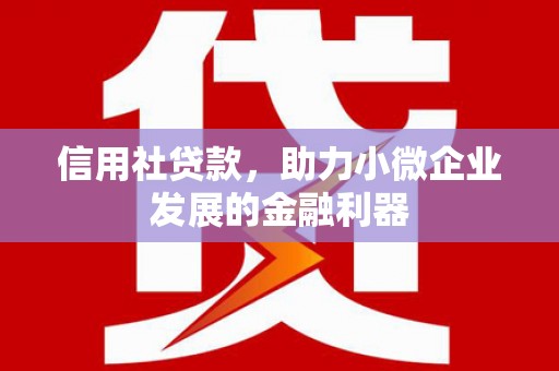 湘西信用社贷款，助力小微企业发展的金融利器