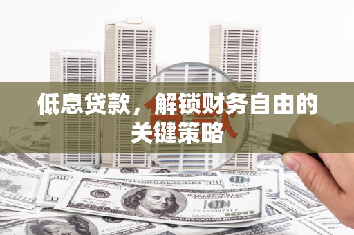 馆陶低息贷款，解锁财务自由的关键策略