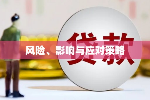 龙华新区风险、影响与应对策略