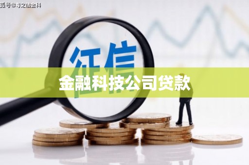 舒兰金融科技公司贷款