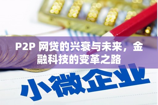 舒兰P2P 网贷的兴衰与未来，金融科技的变革之路