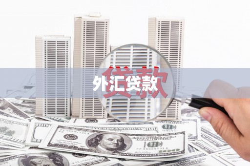 甘南外汇贷款