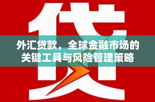 源城外汇贷款，全球金融市场的关键工具与风险管理策略