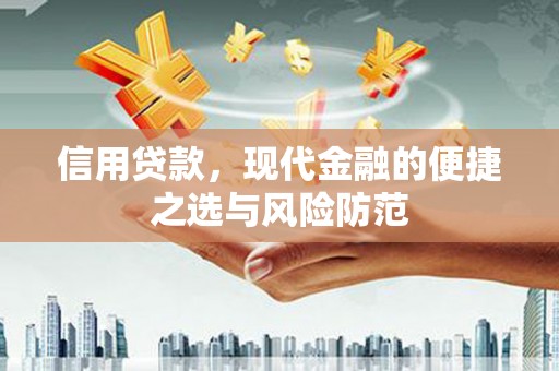 源城信用贷款，现代金融的便捷之选与风险防范