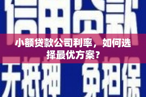 布尔津小额贷款公司利率，如何选择最优方案？