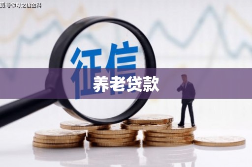 白山养老贷款