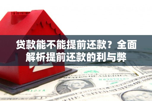 乌来贷款能不能提前还款？全面解析提前还款的利与弊