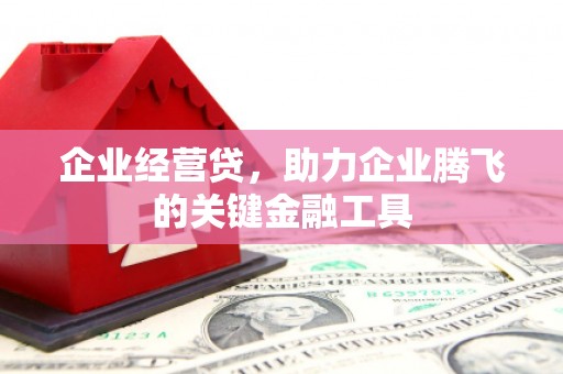 湄潭企业经营贷，助力企业腾飞的关键金融工具