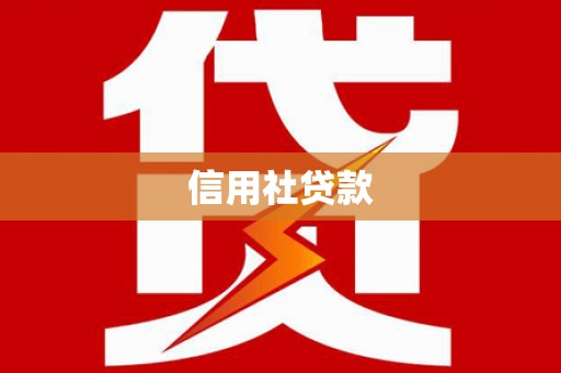 龙华新区信用社贷款