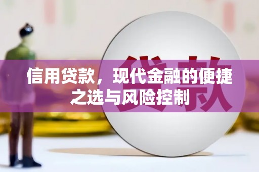 当雄信用贷款，现代金融的便捷之选与风险控制