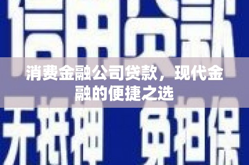 文山消费金融公司贷款，现代金融的便捷之选