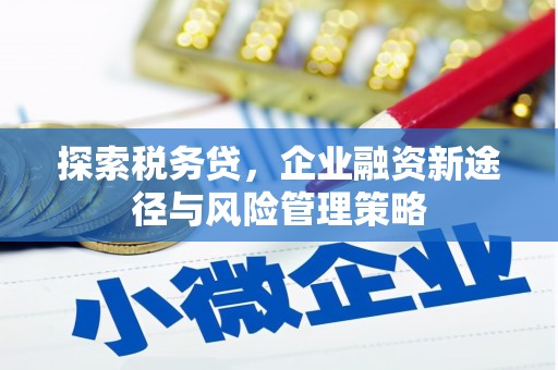 文山探索税务贷，企业融资新途径与风险管理策略