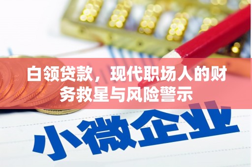 绍兴白领贷款，现代职场人的财务救星与风险警示