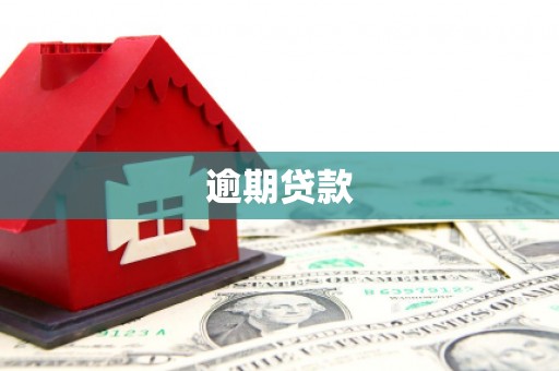 尉氏逾期贷款
