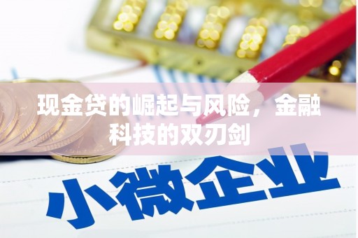英德现金贷的崛起与风险，金融科技的双刃剑