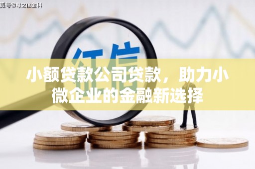 英德小额贷款公司贷款，助力小微企业的金融新选择