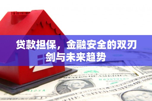 英德贷款担保，金融安全的双刃剑与未来趋势