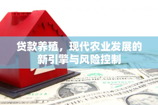 桥头贷款养殖，现代农业发展的新引擎与风险控制
