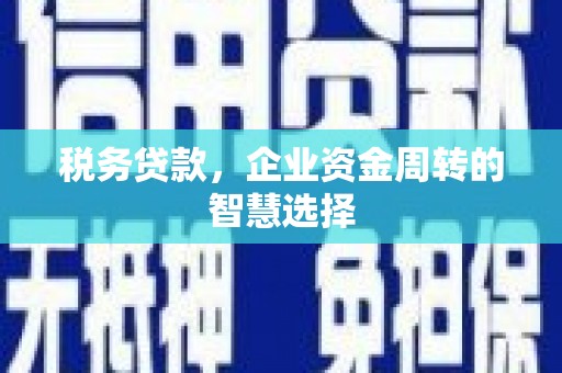 桥头税务贷款，企业资金周转的智慧选择