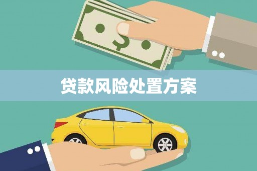 定结贷款风险处置方案