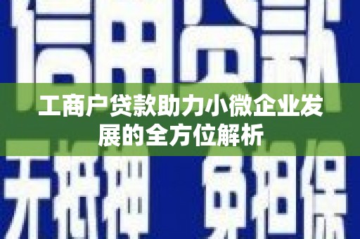 佛冈工商户贷款助力小微企业发展的全方位解析