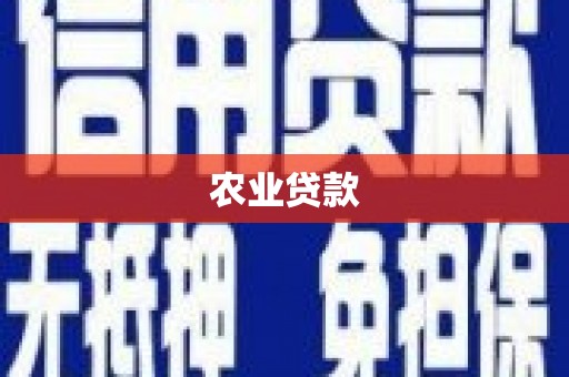 应城农业贷款