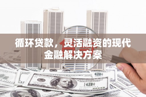 宝清循环贷款，灵活融资的现代金融解决方案