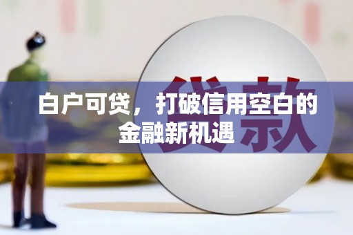 宝清白户可贷，打破信用空白的金融新机遇