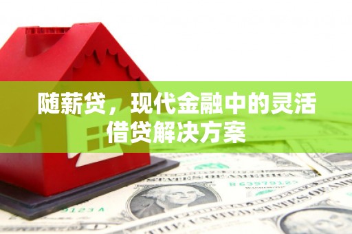阳新随薪贷，现代金融中的灵活借贷解决方案