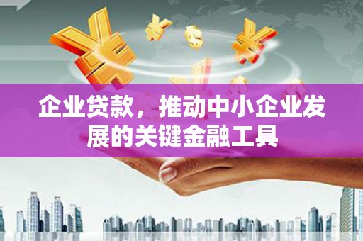 隆安企业贷款，推动中小企业发展的关键金融工具